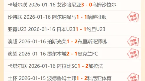 澳网单打中国11将悉数落马