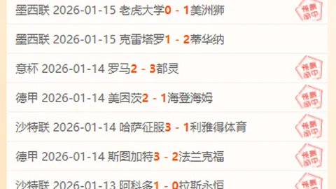 前富力主帅斯托伊科维奇有望执掌塞尔维亚国家队教鞭